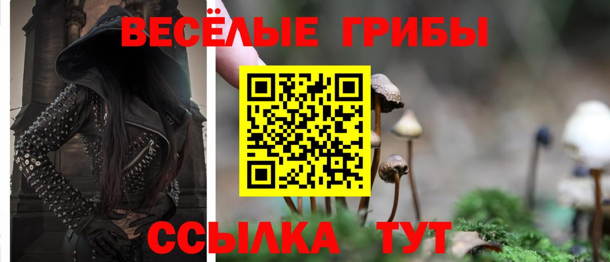 Галлюциногенные грибы Psilocybine cubensis  где продают наркотики  Вход с VPN  Таганрог  Псилоцибиновые грибы прущие грибы 